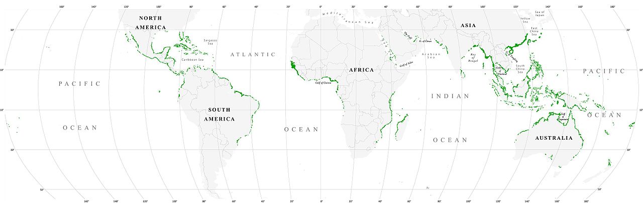 World map mangrove distribution