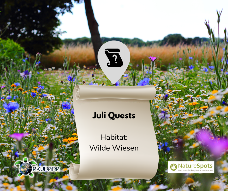 Headerbild-Naturespots-Questbook-Juli-Verein-AKUPARA-1