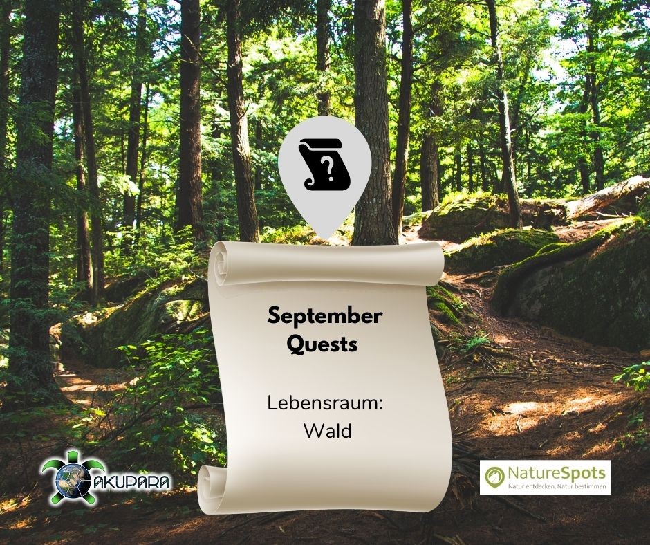 Questbook für Naturbeobachtungen - September