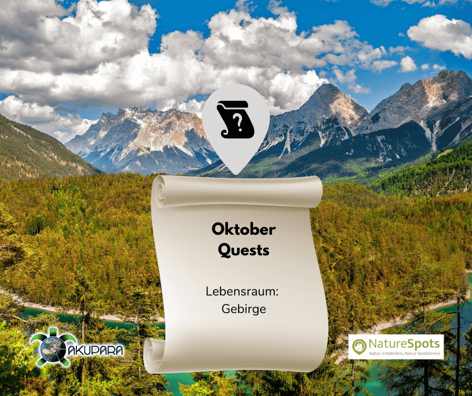 Questbook für Naturbeobachtungen - Oktober