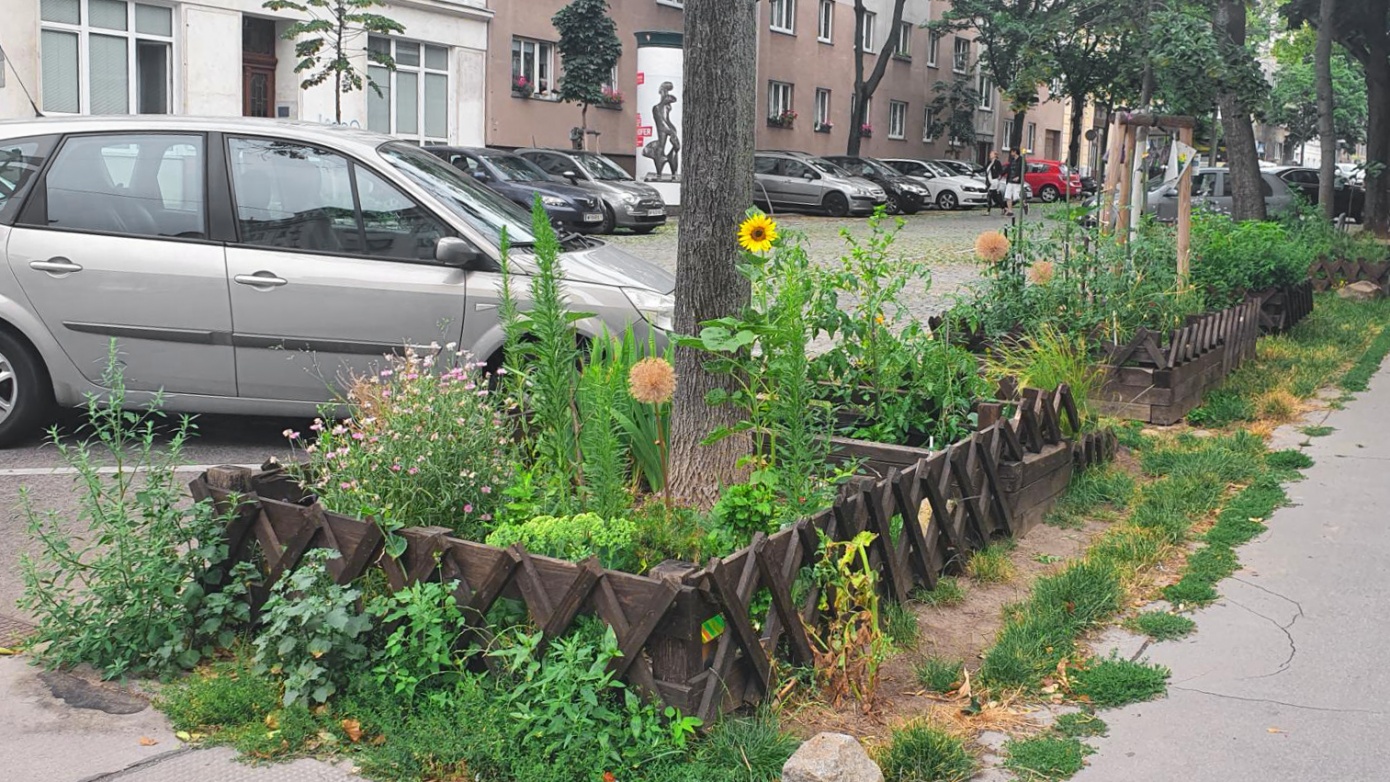 Guerilla Gardening NatureSpots App Let s Explore Nature Together