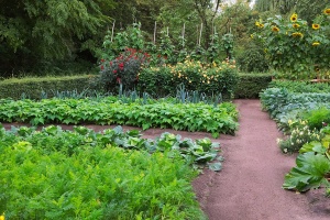 Gartenkultur