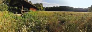 Halb-natürliches Grasland
