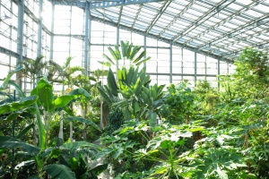 Indoor/Glashaus