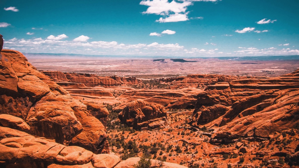 Rocky desert - NatureSpots App - Let's explore Nature together